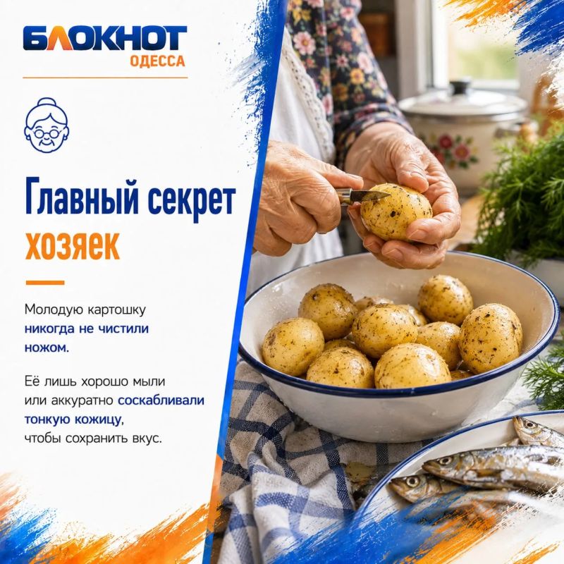Главное летнее блюдо Одессы Главное летнее блюдо Одессы