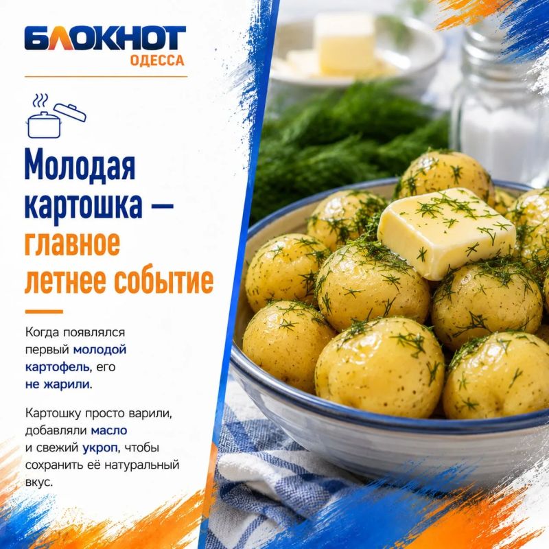Главное летнее блюдо Одессы Главное летнее блюдо Одессы