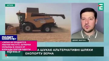 «Зерно не продаётся. Убытки растут»: аграрии Украины в ужасе от блокады портов Одессы