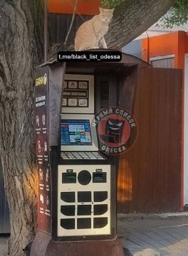������ � ������ �������� ��������� ������