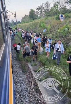 Долгая дорога. Не все любят долгие поездки, хотя своё очарование в них есть
