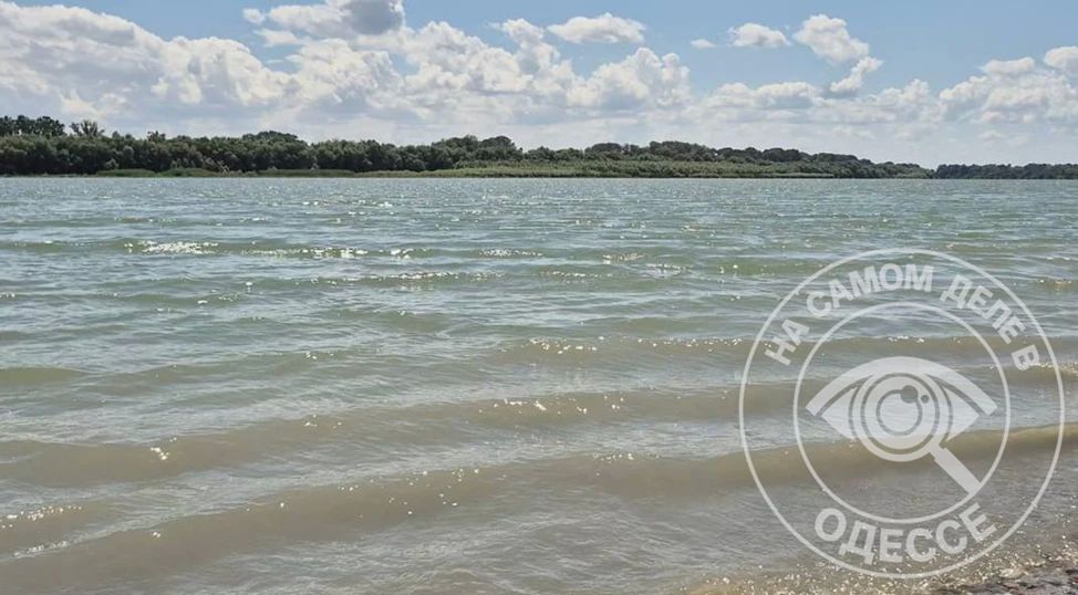 Из-за затяжной жары и малого количества осадков уровень воды в Дунае в Одесской области упал до наименьшего значения за последние 55 лет