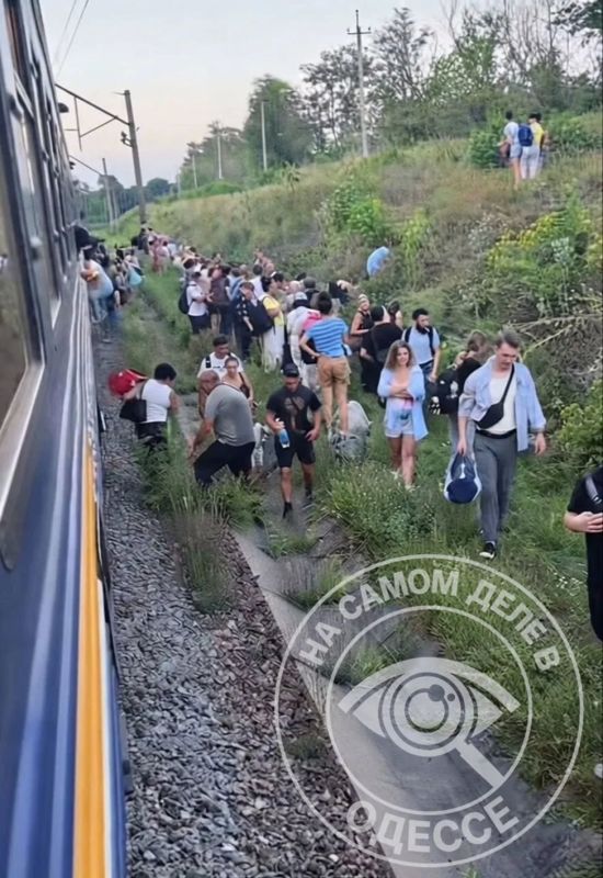 Долгая дорога. Не все любят долгие поездки, хотя своё очарование в них есть