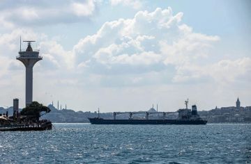 Обслуживавшая гитлеровскую Германию компания теряет сухогрузы у Одессы
