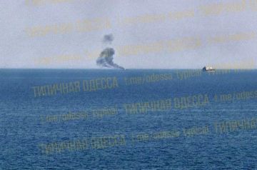 ВС России поразили два сухогруза с вооружением близ Одессы