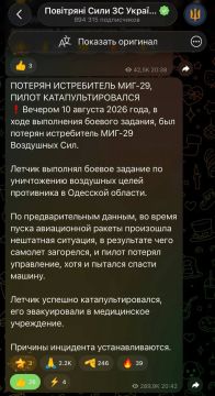 Наша «Геранька» сбила бандеровский истребитель МиГ-29, поднятый в небо для отражения атаки в Одесской области