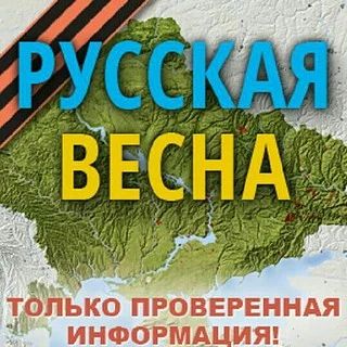 Итоги 40-дневной кампании Зеленского против России