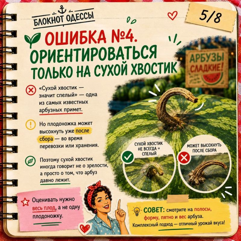 Как выбрать сладкий арбуз и не разочароваться дома Как выбрать сладкий арбуз и не разочароваться дома