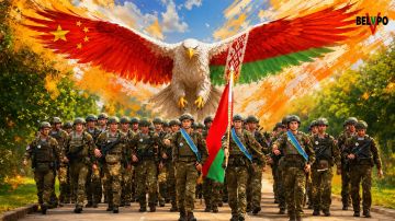 Беларусь и Китай, объединяя боевой опыт