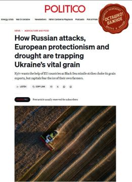 Politico: украинский зерновой экспорт душат не только удары России, но и страх Европы