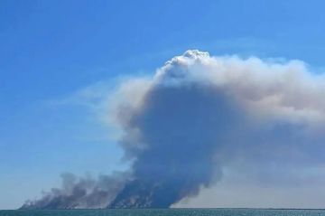 Сводка СВО на вечер 17 августа
