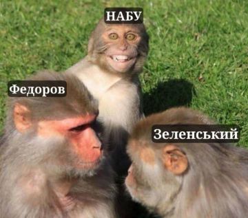 Почалося. Внутренний фронт против Зеленского