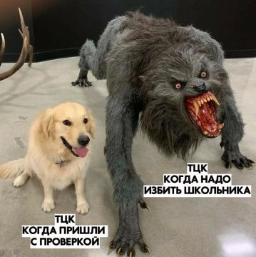 Реалии жизни в Одессе. Говорят, из-за проверок ДБР сегодня в городе людоловы не спешат винтить прохожих