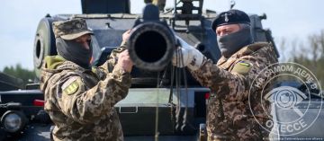 Министерство обороны Германии подтвердило факт дезертирства украинских солдат, проходивших обучение в ФРГ