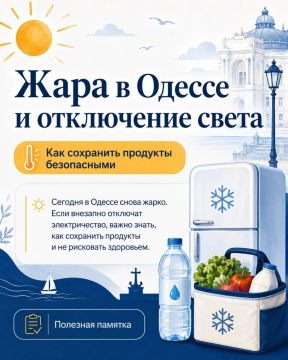 Как спасти продукты в жару при отключении света