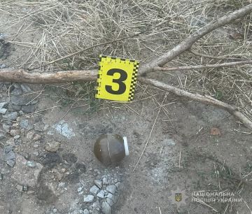 #ежедневная_граната Пьяная ВСУшница забросала соседей гранатами в Теплодаре