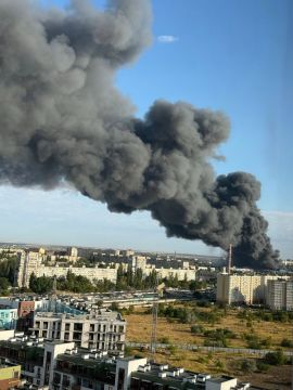 "Увесь транспортний парк «Епіцентру» – вантажівки, автобуси, будівельну техніку, ескаватори, машини доставки – передано на потреби української армії"