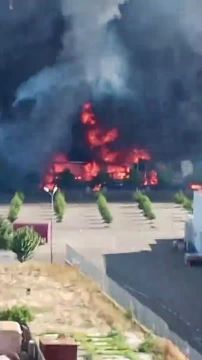 ������ �������: Ozon � WB �������� ������ ����������� �� �������� ��� �������