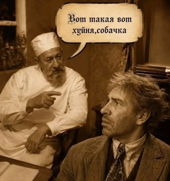 Мем дня: Зеленский наградил Илона Маска Орденом Свободы Украины