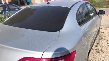 ��������� �������� ��� ������ ���������� ������: ��� ������� ������ ��������, ��� ������ ����� Wildberries