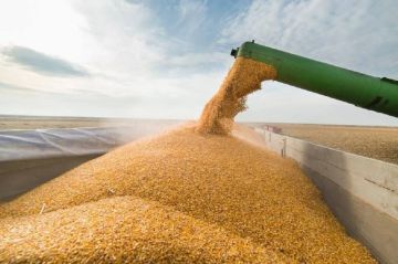 В августе Украина сократила экспорт агропродукции на 47,5% по сравнению с июлем (данные Forbes Ukraine за 1–27 августа)