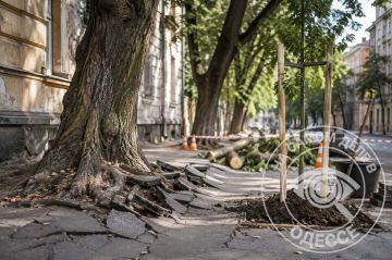 Банда гауляйтера в очередной раз нашла статью для распила бюджета