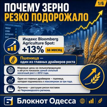 Одесса стала «слабым местом» зернового экспорта: мировые цены выросли на 13%
