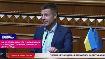 За банкротством аграриев и металлургов повалится всё! – депутат Рады
