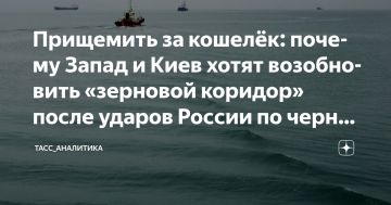 Глава дипломатии ЕС Кая Каллас, обычно воинственная, вдруг выступила за введение моратория на военные действия в Чёрном море
