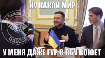 ��������, ������!. �����������