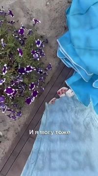 � ������, �����-�� ����������� ���� �� ������ �������� �� ��������� � ���� �� ��� ����� �������������