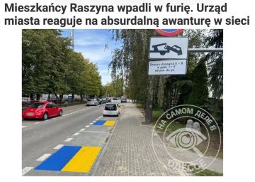 Рубрика: курьёзы (не)нашего городка