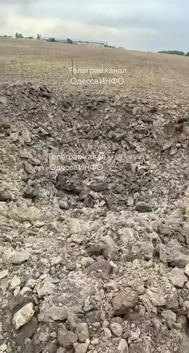 Неплохой крот побывал в Одесской области