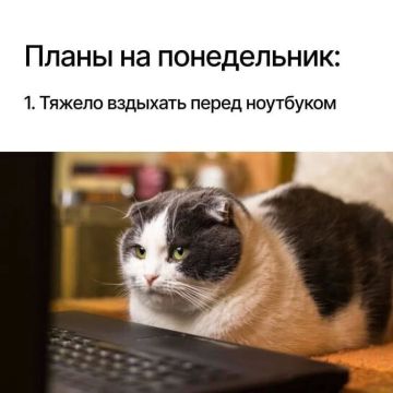 У всех нас одинаковое настроение перед понедельников, да ведь?