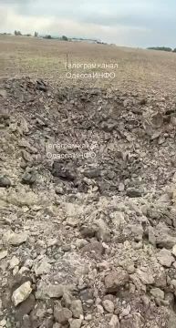 Неплохой крот побывал в Одесской области