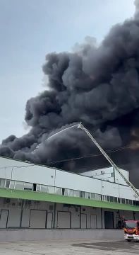 �� �� ������� ���� �� ������ ������ �� ���������� �������������� �������� "����" � ������: ��������� ����������� ����������