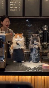Начнём утро с кофе. . Кофе — это ягода