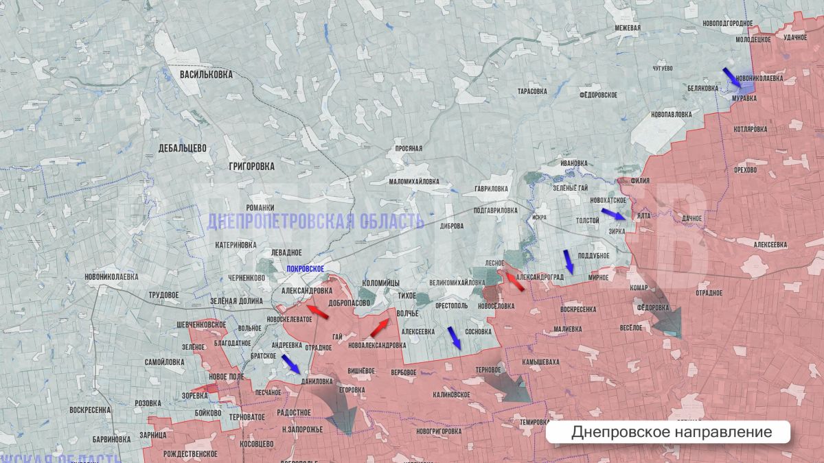 Олег Царёв: Фронтовая сводка. Фронтовая сводка 20 сентября Олег Царёв: Фронтовая сводка. Фронтовая сводка 20 сентября