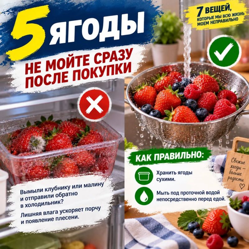 А вы точно правильно моете продукты и кухонные вещи? А вы точно правильно моете продукты и кухонные вещи?