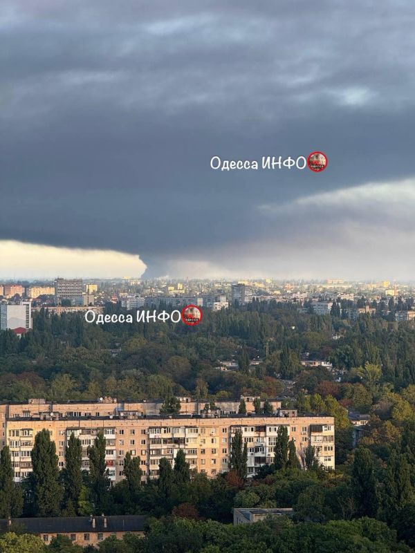 Дым, из-за пожара на складах "Нова Пошты" в Усатово Одесской области,продолжает распространяться и застилает небо