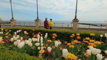Сейчас бы море, солнце, Золотой Берег Без дедлайнов, уведомлений и людей со словами «есть минутка?» Но нет. У нас список дел длиной до Молдаванки Мы в МАХ | Бот в Максе