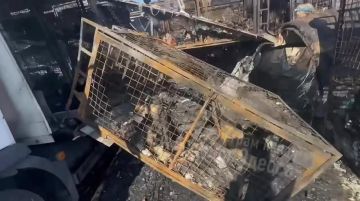 � ������ ����� ������� ����� ���������� ����� "����� �����" � �������� ���