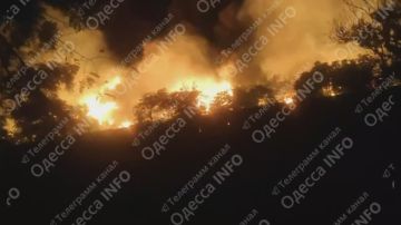 Евгений Лисицын: Пожар в Одесской области после серии взрывов