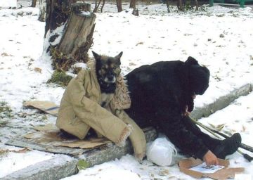 У бомжей в Одессе могут забрать собак