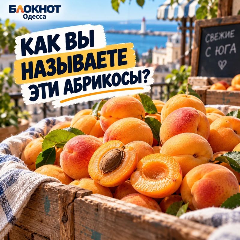 Как это называется у вас?. Одесса, сегодня проверяем не грамотность, а домашний словарь Тремпель или вешалка? Кулёк или пакет? Синенькие или баклажаны? А дальше, чувствуем, вообще пойдёт семейная лингвистика Как это называется у вас?. Одесса, сегодня проверяем не грамотность, а домашний словарь Тремпель или вешалка? Кулёк или пакет? Синенькие или баклажаны? А дальше, чувствуем, вообще пойдёт семейная лингвистика
