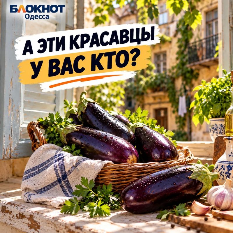 Как это называется у вас?. Одесса, сегодня проверяем не грамотность, а домашний словарь Тремпель или вешалка? Кулёк или пакет? Синенькие или баклажаны? А дальше, чувствуем, вообще пойдёт семейная лингвистика Как это называется у вас?. Одесса, сегодня проверяем не грамотность, а домашний словарь Тремпель или вешалка? Кулёк или пакет? Синенькие или баклажаны? А дальше, чувствуем, вообще пойдёт семейная лингвистика