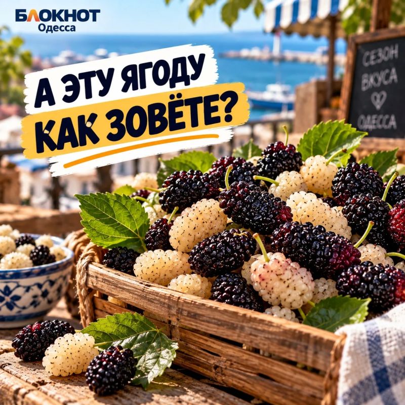 Как это называется у вас?. Одесса, сегодня проверяем не грамотность, а домашний словарь Тремпель или вешалка? Кулёк или пакет? Синенькие или баклажаны? А дальше, чувствуем, вообще пойдёт семейная лингвистика Как это называется у вас?. Одесса, сегодня проверяем не грамотность, а домашний словарь Тремпель или вешалка? Кулёк или пакет? Синенькие или баклажаны? А дальше, чувствуем, вообще пойдёт семейная лингвистика