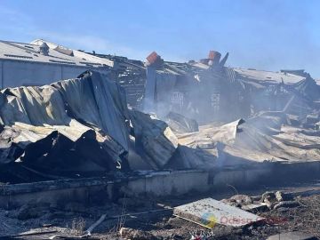 ВС РФ использовали реактивные БПЛА "Герань-4" при ударе по территории "Пластик Групп"