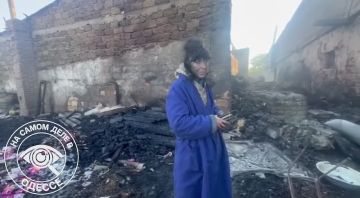 Побочные жертвы ПВО. «Захысныкы нэба» в Великодолинском, отражая атаку по сборочному цеху беспилотников, устроили пожар в находившемся неподалёку приюте для животных «Любящие сердца»