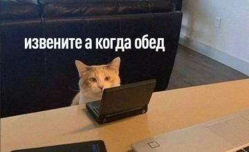 Доброе утро, Одесса!. Рабочий день только начался, а самый важный вопрос уже прозвучал: когда обед? Блокнот Одесса | Написать нам в Telegram